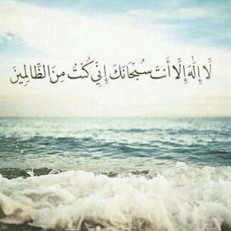 bashair_03's tweet image. 