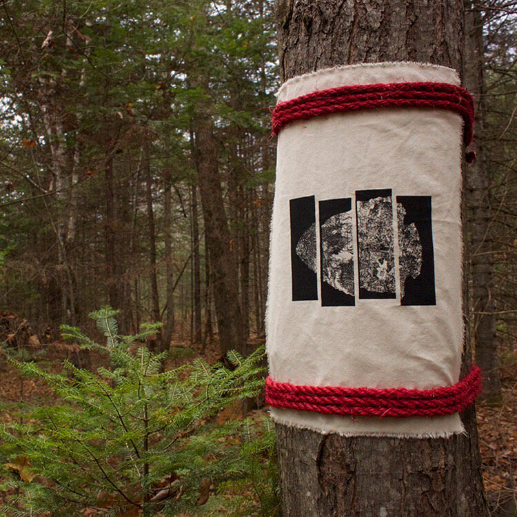 dbuckleyborden's tweet photo. Temporary wayfinding, "black flag ecology," hemlock stand, Wellington, ME. Collaboration with @trifectaE https://t.co/aReT1fETvH