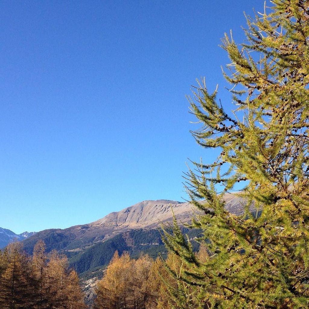 turismotorino's tweet photo. Saluti da #sauzedoulx #altavalsusachisone #senzafiltri #turismotorino https://t.co/Rl5GRiPpu3