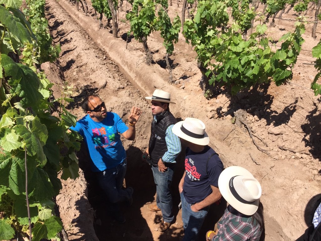 guinazupablo's tweet photo. #AngelicaVineyard #Malbec Camp      Aprendiendo del viñedo @CatenaMalbec @fichirodriguez @LauraCatena https://t.co/X7DTFVEEvY