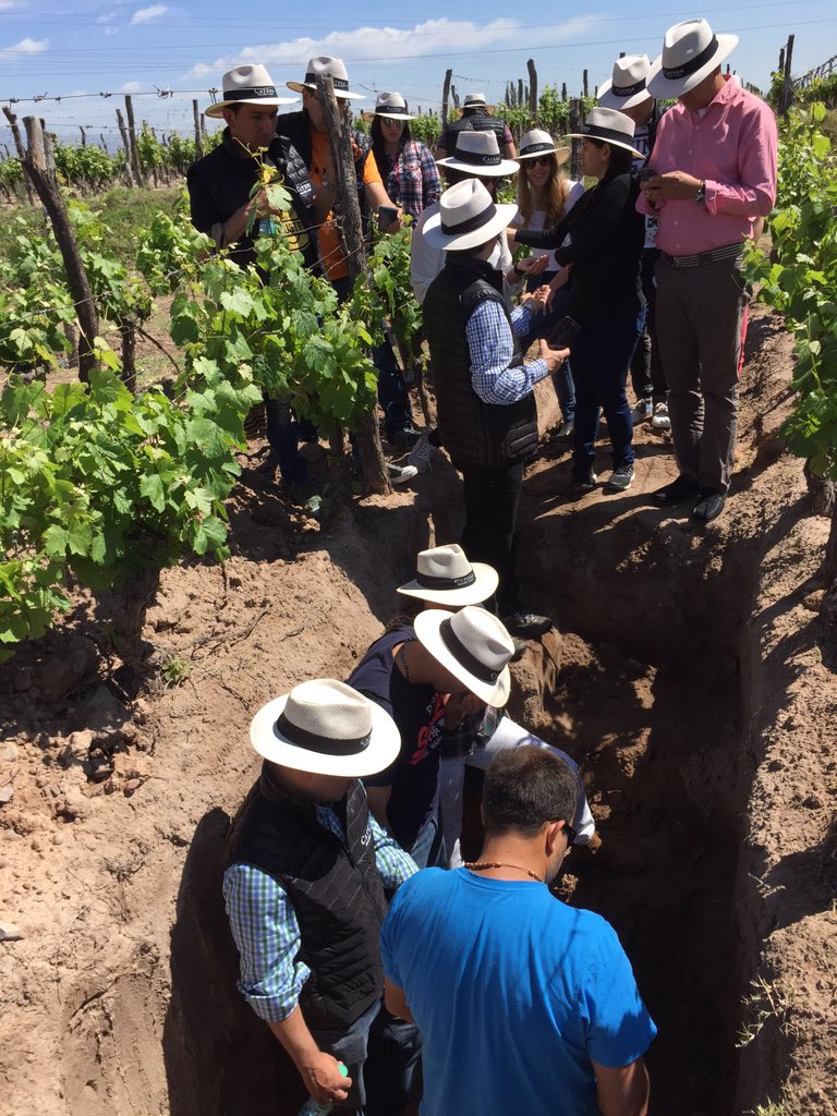 guinazupablo's tweet photo. #AngelicaVineyard #Malbec Camp      Aprendiendo del viñedo @CatenaMalbec @fichirodriguez @LauraCatena https://t.co/X7DTFVEEvY