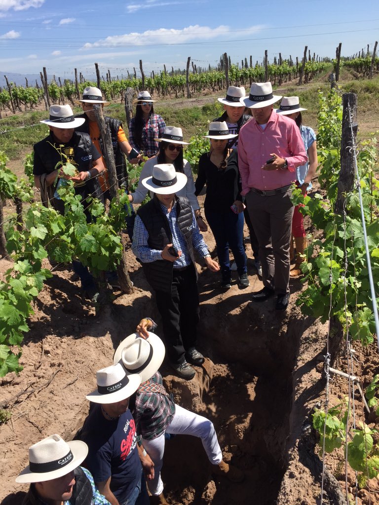 guinazupablo's tweet photo. #AngelicaVineyard #Malbec Camp      Aprendiendo del viñedo @CatenaMalbec @fichirodriguez @LauraCatena https://t.co/X7DTFVEEvY