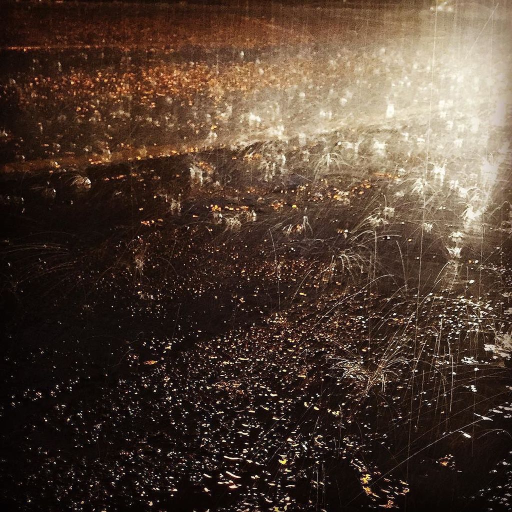 Joolzephoto's tweet image. Pleased the forecasted heavy rain all day, only came in brief spurts ;0) #heavyrain #occas… ift.tt/1HXmZVC