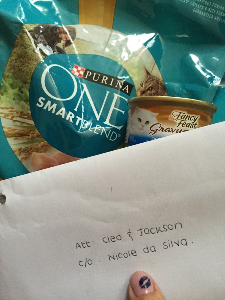 ThatNicole's tweet photo. Got an amazing package delivered to me at work for my kitties.
Well played, @PurinaOneSA, the challenge is on! 😻 https://t.co/8tVLnr8cM1