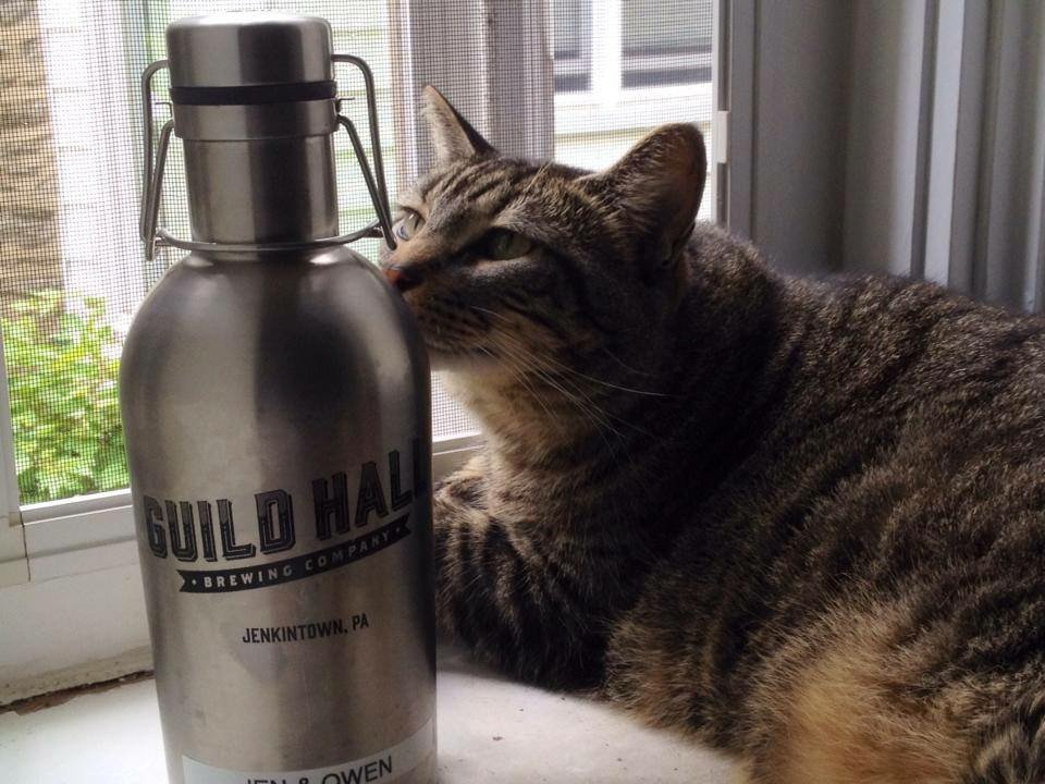 GuildHallBrew tweet picture