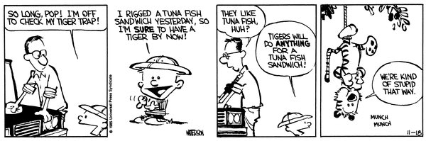 Calvin and Hobbes' set its trap and first captured readers 30 years ago |  PBS NewsHour