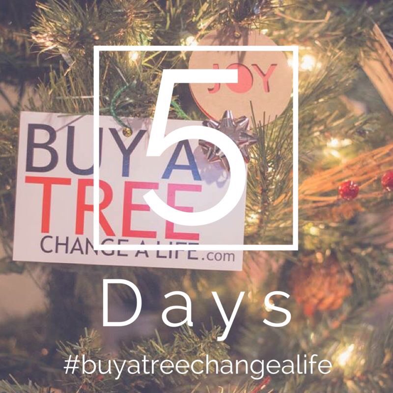 OasisChurchAug's tweet image. #buyatreechangealife is 5 days away. Spread the word! #communityforgood