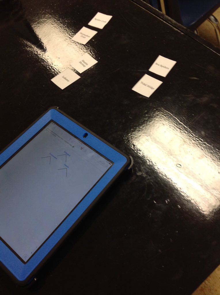 CoachEtheredge's tweet photo. Creating dichotomous keys for Arthropods #learningcharacteristics #applying #WeRArab https://t.co/1R45MrjLX9