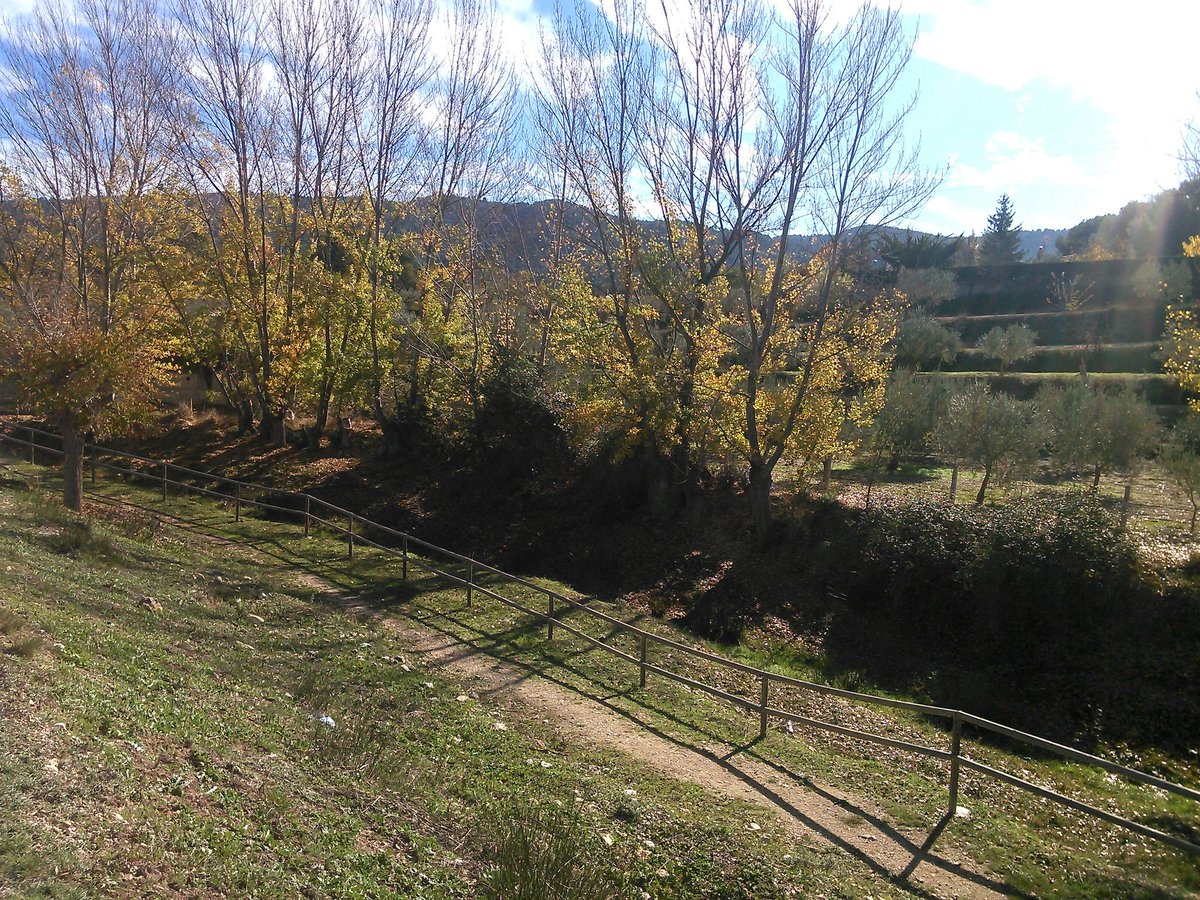 NuriRasta's tweet photo. Otoño. https://t.co/tghUgaODhK