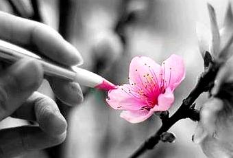 arcadelcel's tweet photo. No #trates de #ser #mejor que los #demás, sino mejor de lo que ya #eres...#superarse #felizmiercoles #Psicologia https://t.co/fFl94FnUnx