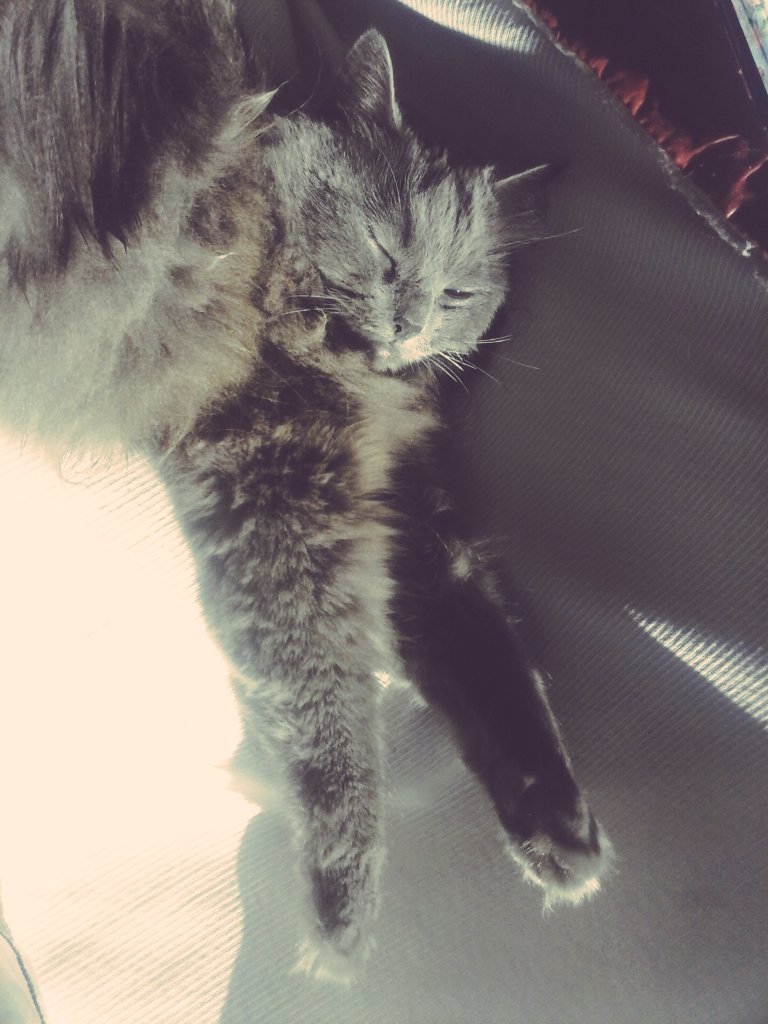 mikewellhxc's tweet photo. Peeeeeeluuu-sá! YA! https://t.co/d0YudA5ogq