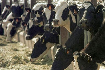 Agroinformacio tweet picture
