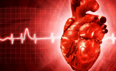 Big Bang Health tweet media