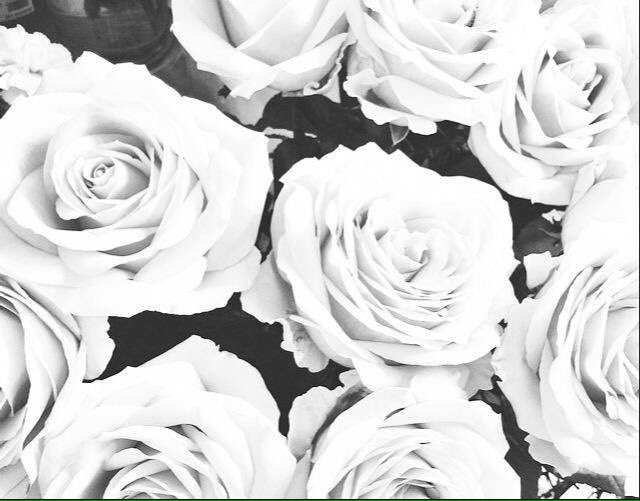 PutGodFirst_'s tweet image. 