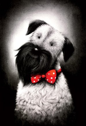 Surridge6's tweet photo. Struggling for Christmas ideas?!
#Doug #Hyde delights collectors new releases 'Top Hats &amp; Tails'
contact gallery https://t.co/CjAKumeqXA