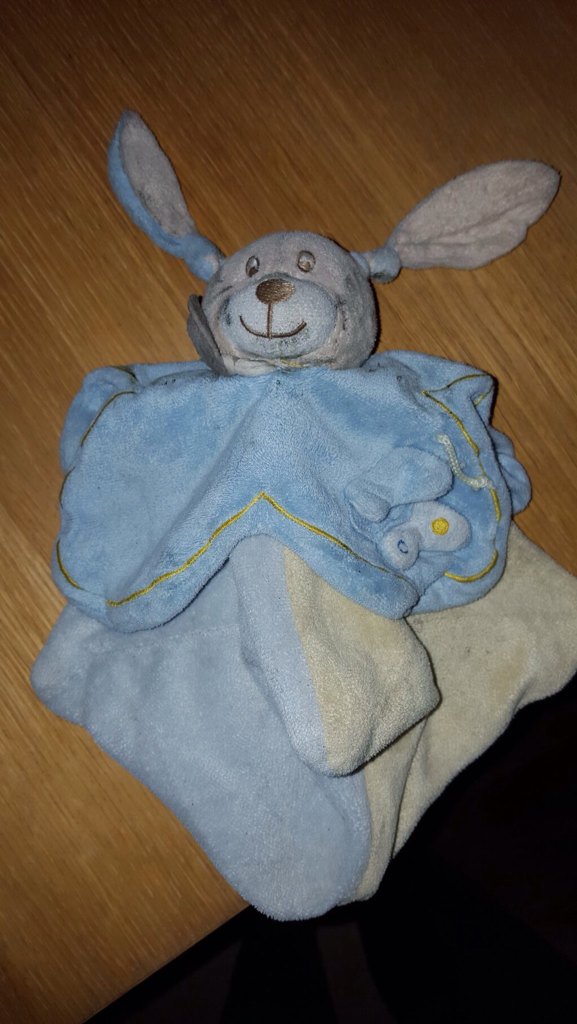 sos_doudou's tweet photo. [Trouvé #Rennes] Le petit proprio qui a perdu son #Doudou près du #CHU Hôpital Sud peut contacter @lilittle_frog ❤️👍 https://t.co/MvrrWmNe7C