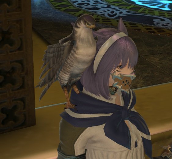 Eorzea Database Hunting Hawk FINAL FANTASY XIV, The Lodestone