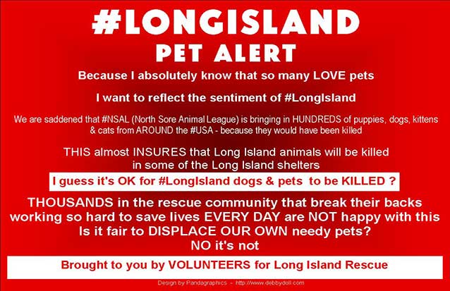 .<a href="/DogsLifeMag07/">Dogs Life Magazine</a> #LongIsland pets need homes #First