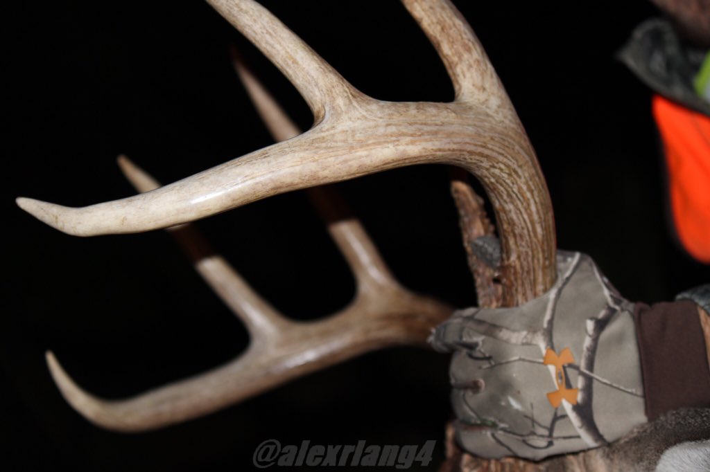 vela_cxehange's tweet image. RT if you're a deer hunter! #UAhunt