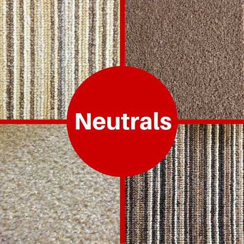 AllFloorsExpres's tweet photo. The must have carpets you need this winter - https://t.co/2gQN9tUlG4 https://t.co/aB8Bjd63RN