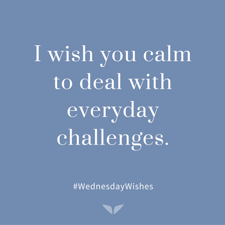 Omvana (Meditation) tweet media