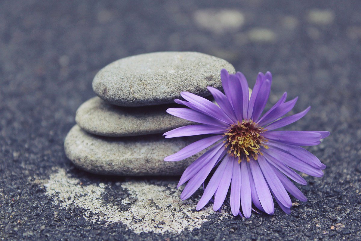 ProholosTalent's tweet photo. Sesiones de #coaching: Niveles ejecutivo, educativo, salud y personal. Presencial y online. info@nbaformacion.com https://t.co/o9MqsLjfPs