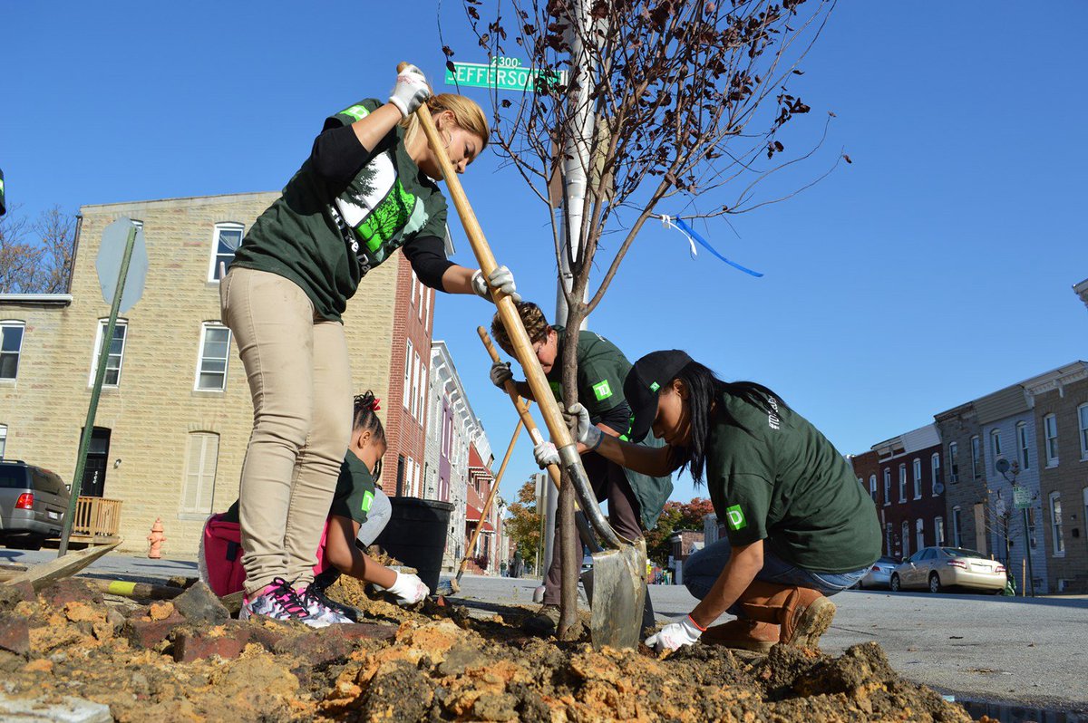 ParksandPeople's tweet photo. Tree planting this Saturday! Spread the word and sign up to volunteer: https://t.co/02DRqbGmPX #Baltimore #YayTrees https://t.co/VzOL1CSv1m