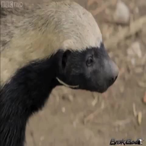 jeff george tweet media