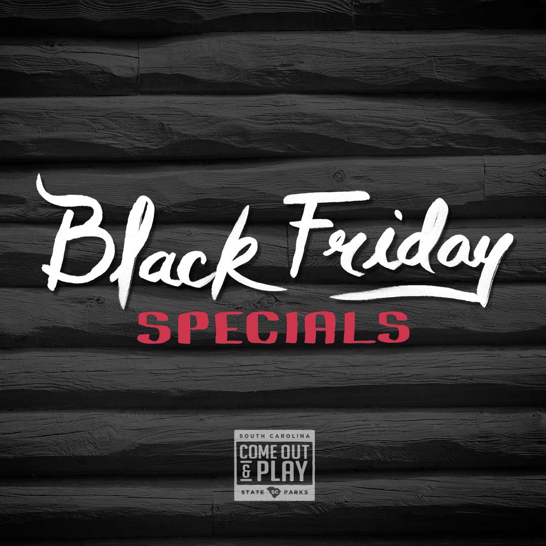 Sc State Parks On Twitter Our Blackfriday Specials For Cabins