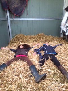 themanehubuk's tweet photo. @monksstud this is what happened last time I wasn't allowed!! ππππ #equestrianhour #gottoldoff #shouldactmyage https://t.co/ZforqGM2Ei