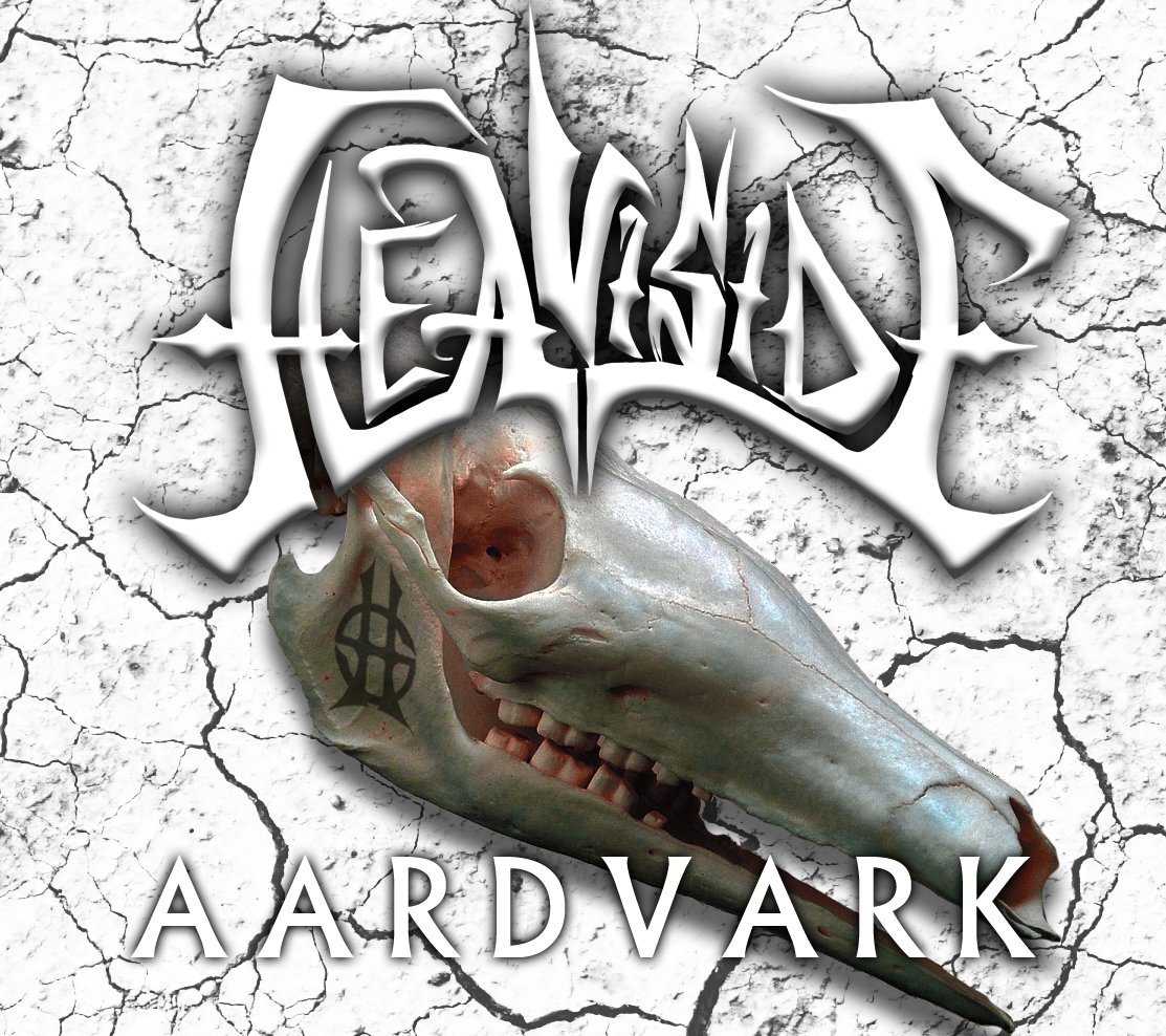 heaviside01's tweet photo. Mad props to @1069thewolf from Nanaimo for featuring our single Aardvark! #1069thewolf https://t.co/11fNpnzOM7