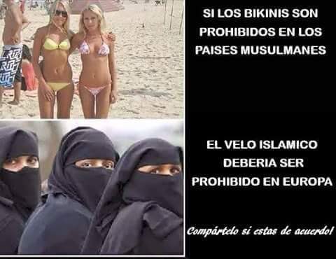 felipe_fesadu's tweet photo. Esta gentuza que tenemos com una lacra por toda #Europa o se adaptan y se integran o a su puto país ya https://t.co/tknMJiyYNj