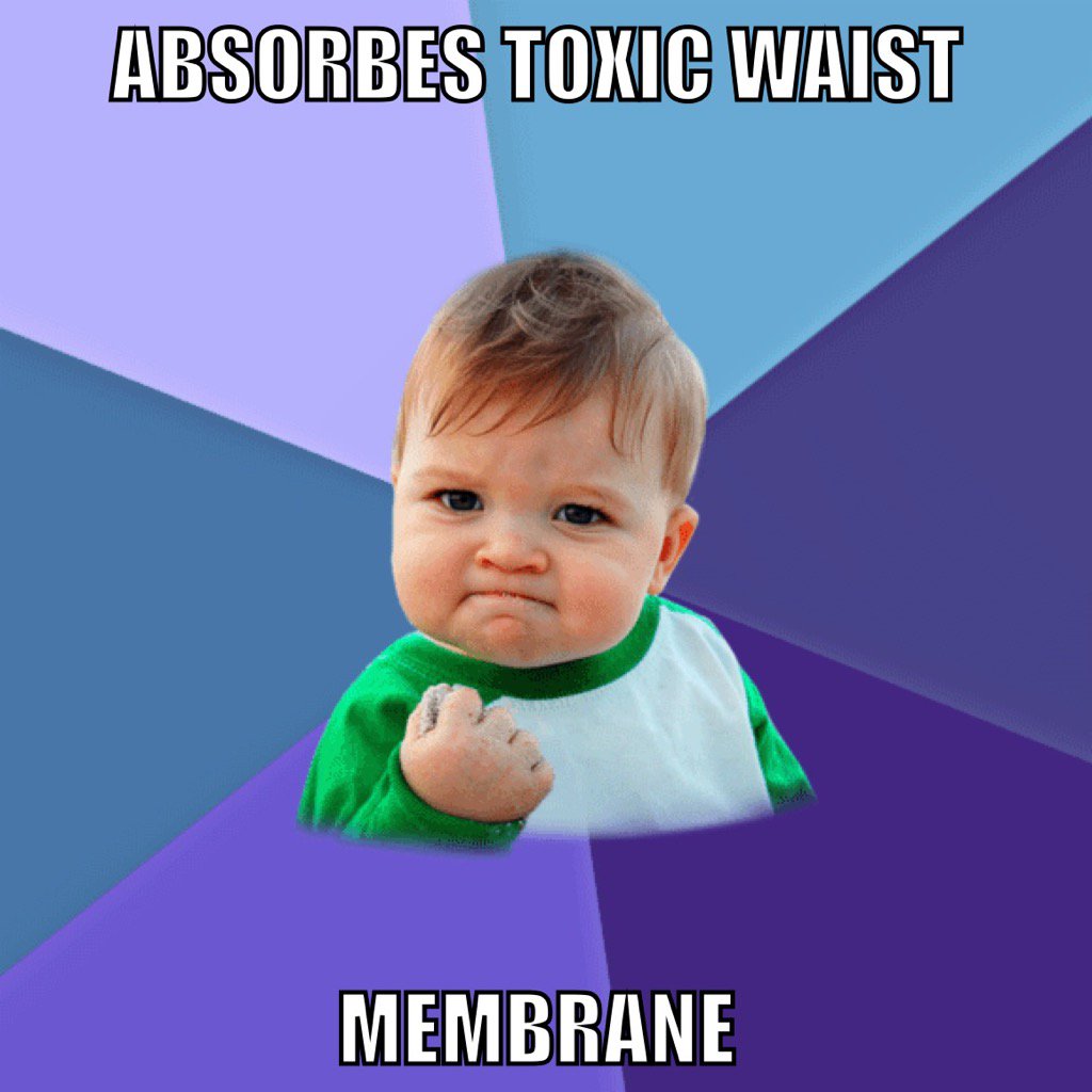 cellwallfurdaz's tweet photo. @TallBiology #organellewars https://t.co/NhZSAr9WV1