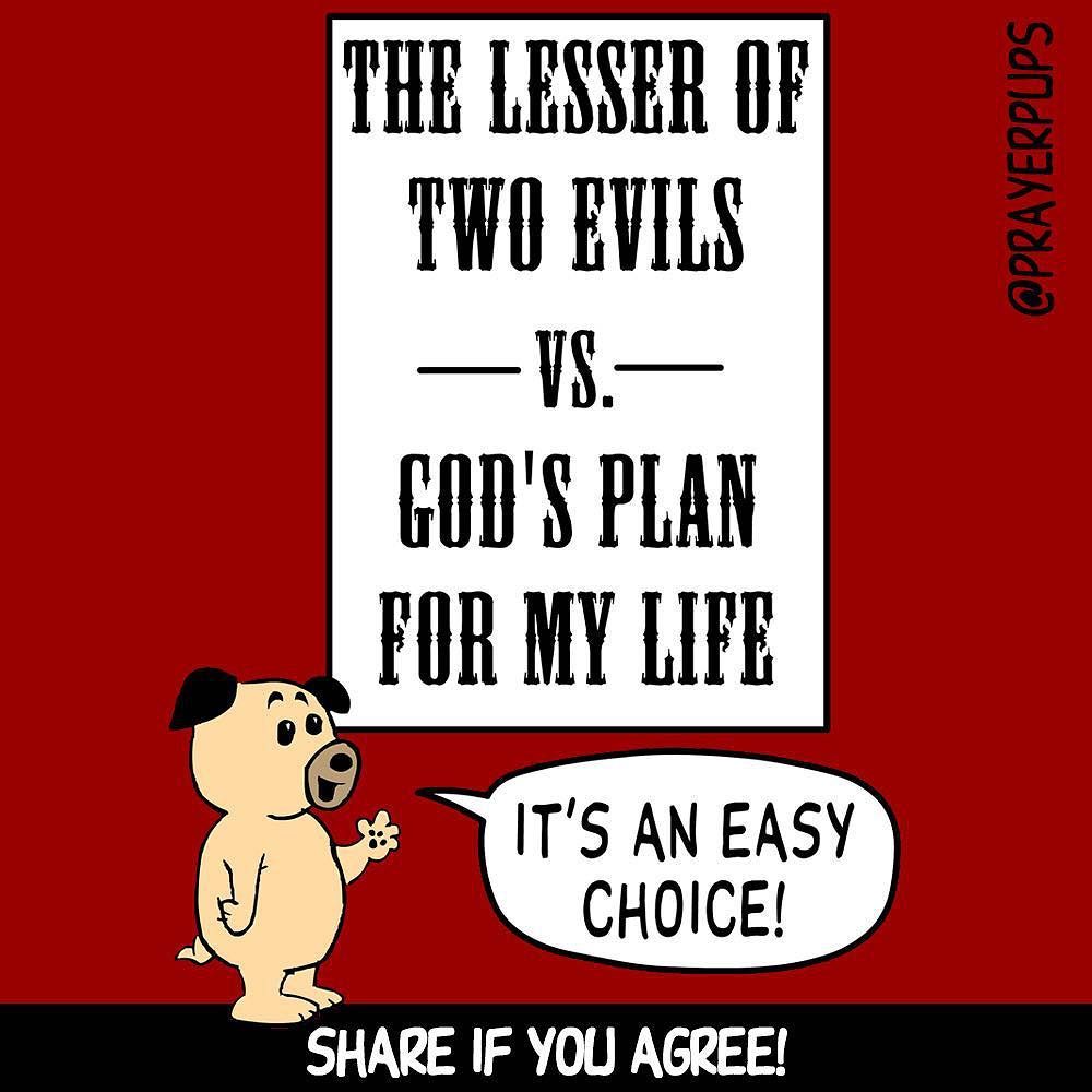 prayerpups's tweet photo. Live your life the way God wants you to and you'll never be sorry. #godsplan #god #walkwit… https://t.co/VK8Lcdhdpr https://t.co/4p6eyX7nUt