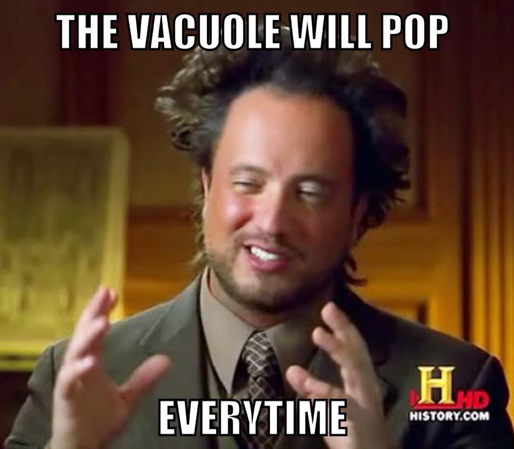 cellwallfurdaz's tweet photo. @TallBiology #organellewars https://t.co/xVaBSOkMrV