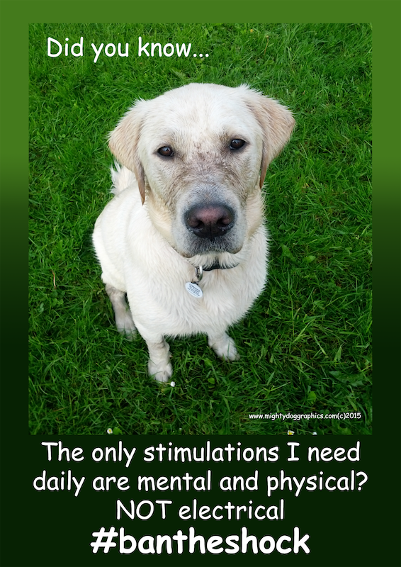 VictoriaS's tweet photo. It's far time for shock collars to be gone from the dog training world. (via Mighty Dog Graphics​) #bantheshock https://t.co/L4sWhGR956