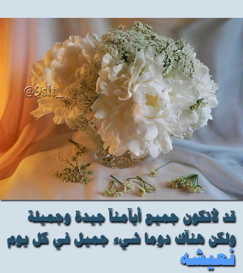 1mtl_'s tweet photo. قد لا تكون جميع ايامنا جيدة وجميلة 
ولكن هناك دوما شيء جميل في كل يوم نعيشه 

#نجلاء_للمليون https://t.co/6cDpnAh5p2