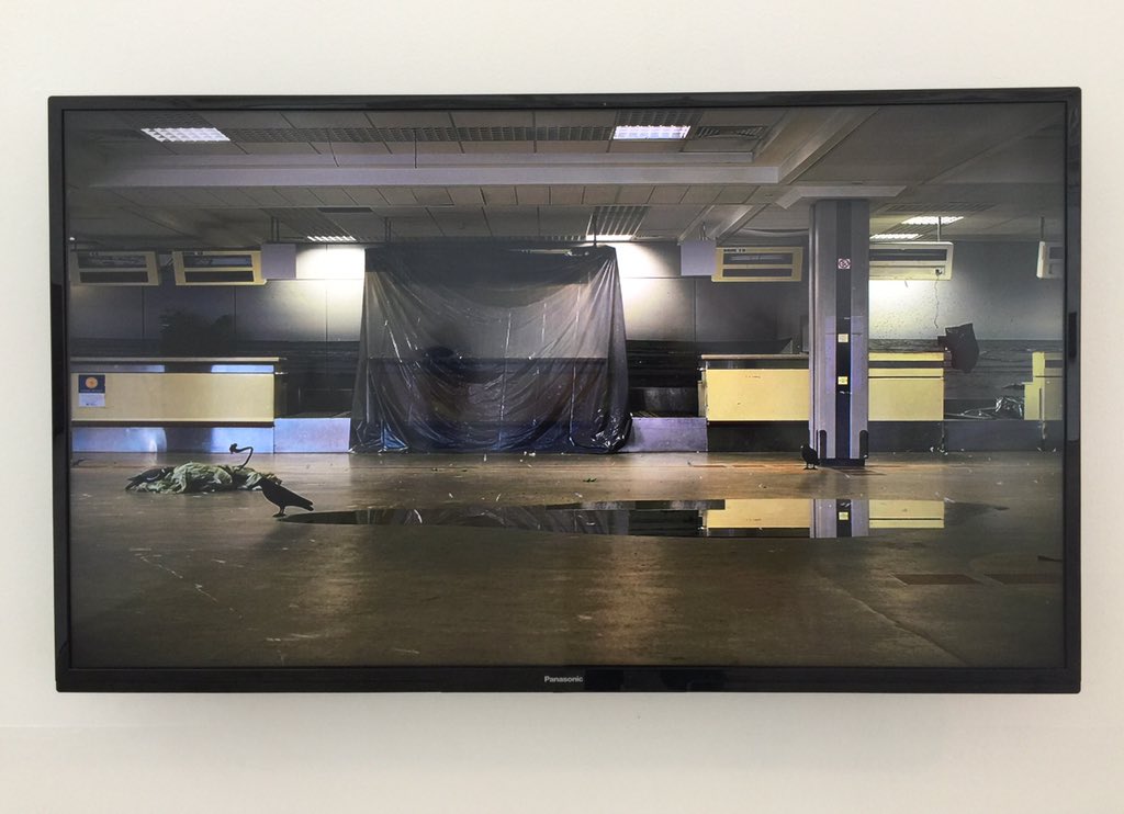 michellejconway's tweet photo. @TulcaFestival @domobaal @michellejconway stunning . . mesmerising video work by #contemporaryart #Ailbhe Ni Bhriain https://t.co/LLkd0EcwR3