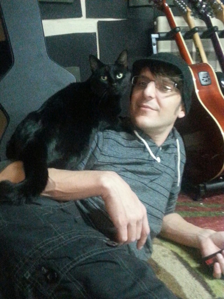 kerosecbassist's tweet photo. #parrotkitty https://t.co/q0UNnVTfZi