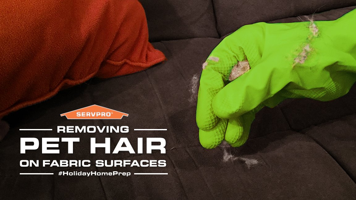 Helpful Tip: You can use a damp rubber glove to remove unwanted pet hair from furniture. #HolidayHomePrep