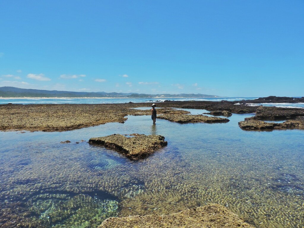 Travelbug Rose🐞 tweet media