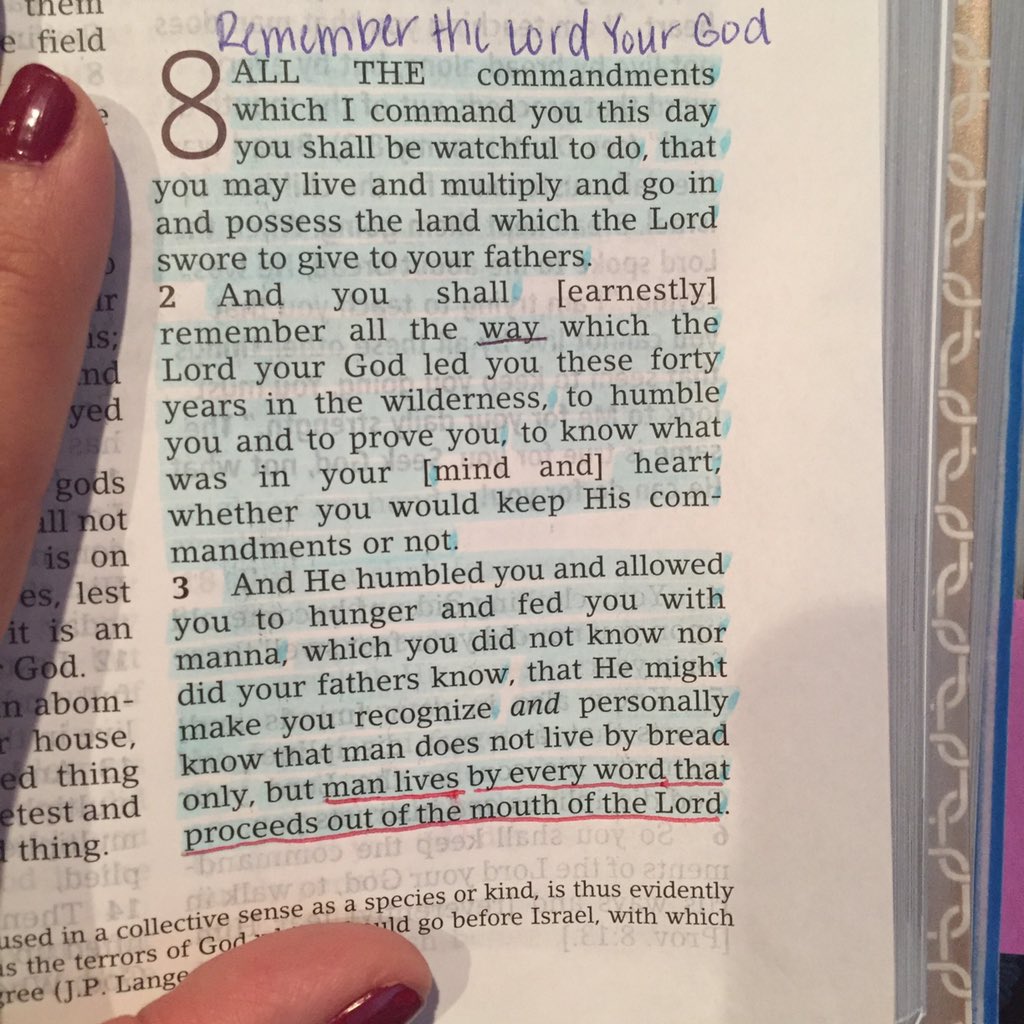 paperedgrace's tweet photo. We must look to God daily
“Man shall not live by bread alone, but by every word that comes from the mouth of God." https://t.co/Qxe8rFNEnF