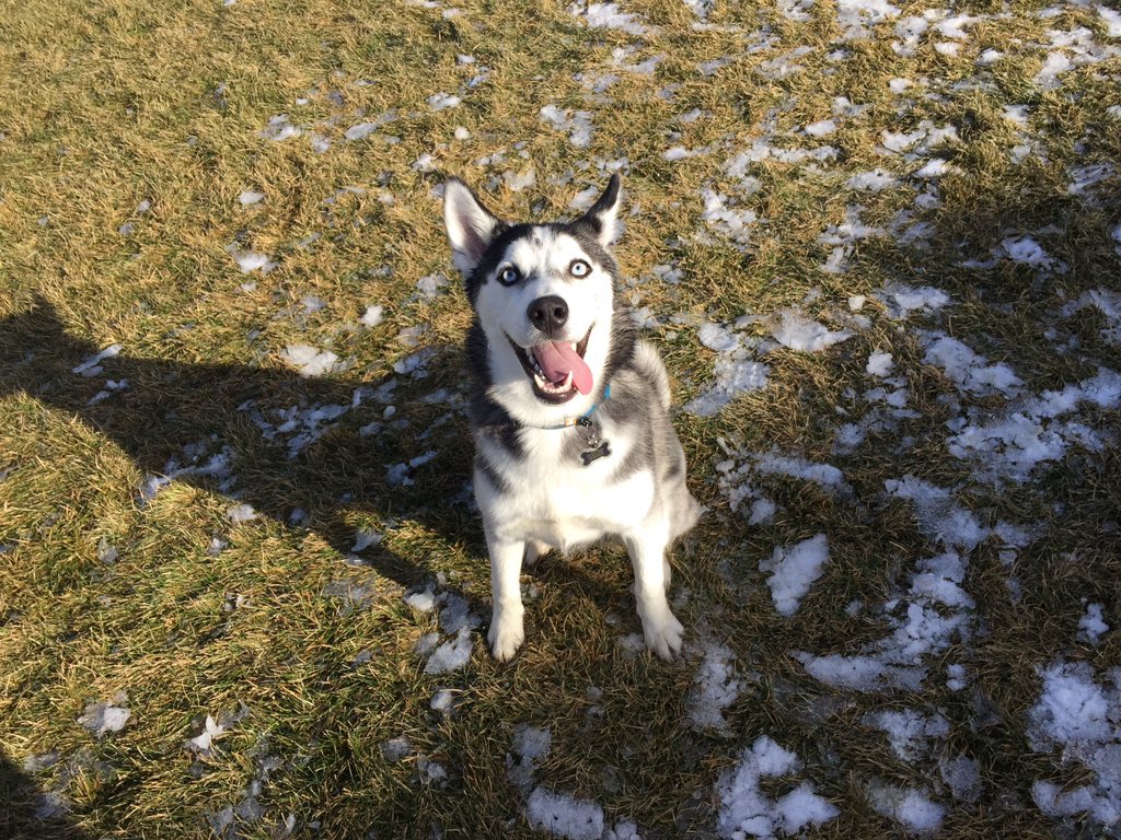 TuttFanClub's tweet photo. Sadie!!!!!!!! https://t.co/xRSKcddV8P