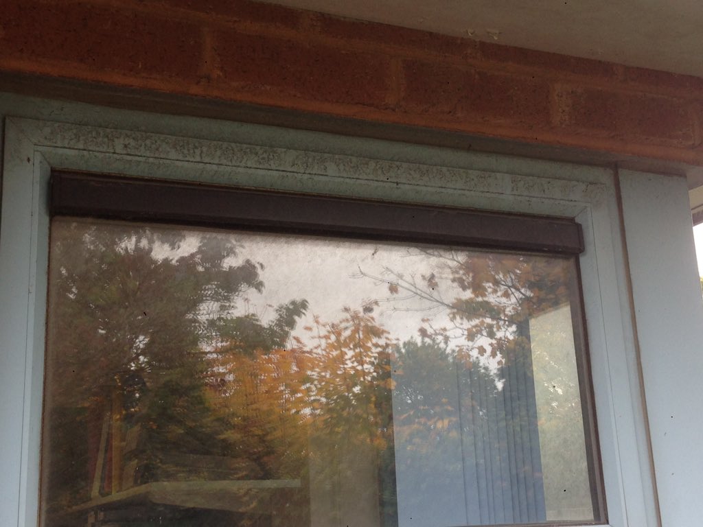 IMWindowcleaner tweet picture