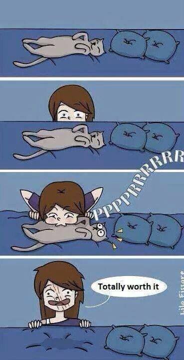 KitNipBox's tweet image. Belly kisses are always worth it! 
via @catingtonpost #Scratchtime #Crazyhuman #Cute #KitNipBox