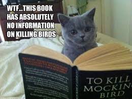 tticus_TKAM's tweet photo. https://t.co/6kQBP1ua3N