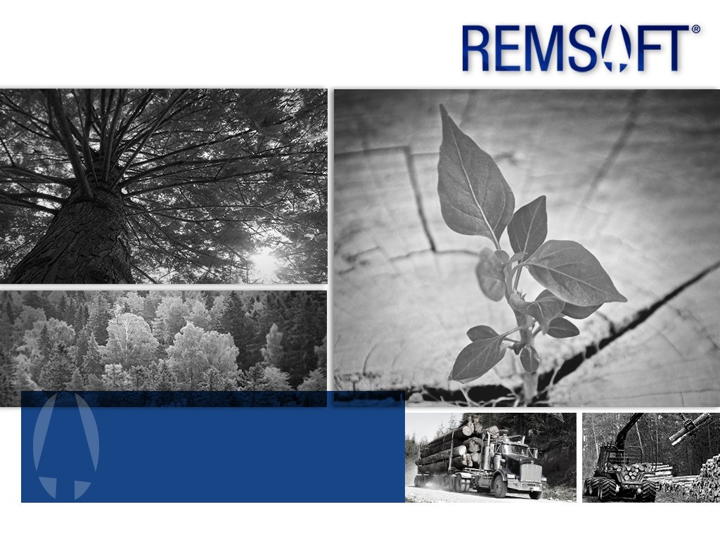 RemsoftInc's tweet photo. Our team is still growing. Looking for a talented SQL developer to join our dynamic team! https://t.co/iFSw3kyepH https://t.co/leo90wdpR0