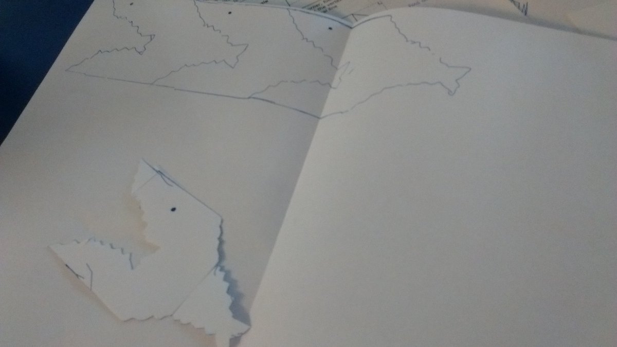 Morgan Bawtree tweet media