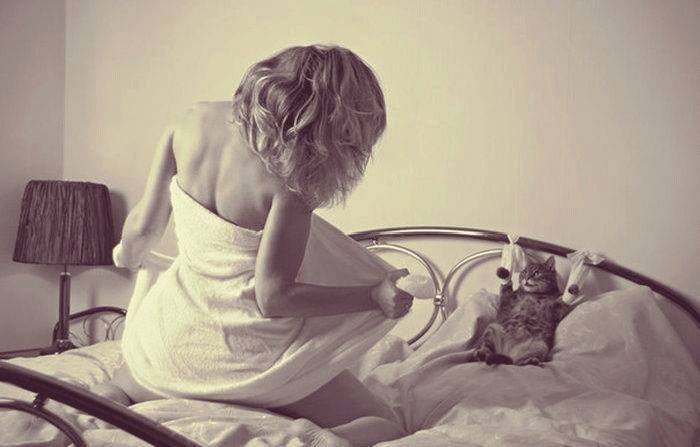 RubiBere's tweet photo. " la loca de los gatos "     " Él también va al Pole Dance ". https://t.co/GzxZ24Ip7E https://t.co/B13K7K4uJM