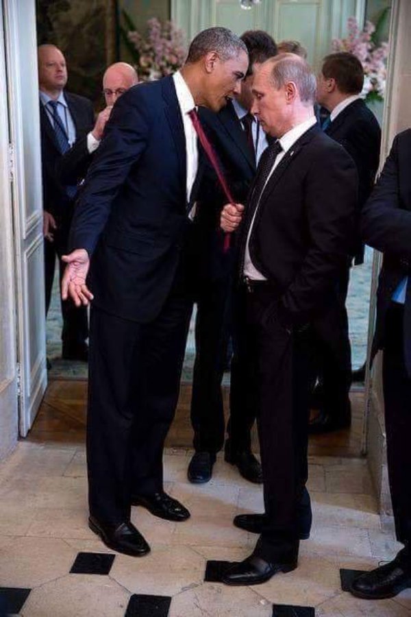 Pleinsdebetises's tweet photo. -Vlad les bombes nucléaire c pa 1bonne idée
-....
-Tu m'écoute kan jte parle?!
-C kel matière ta cravate c très doux https://t.co/eox3LhTQ3W